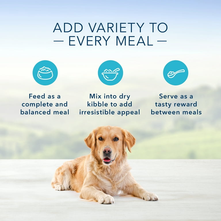 What to Put on a Lick Mat for Dogs: 7 Irresistible Recipes
