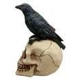thumbnail image 3 of Zombie Raven Scavenger Crow Perching On Wretched Skull Decorative Figurine 8"H, 3 of 4