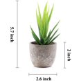 thumbnail image 3 of 6 uds de plantas suculentas Zhivalor decorativas en macetas grises, 3 of 7