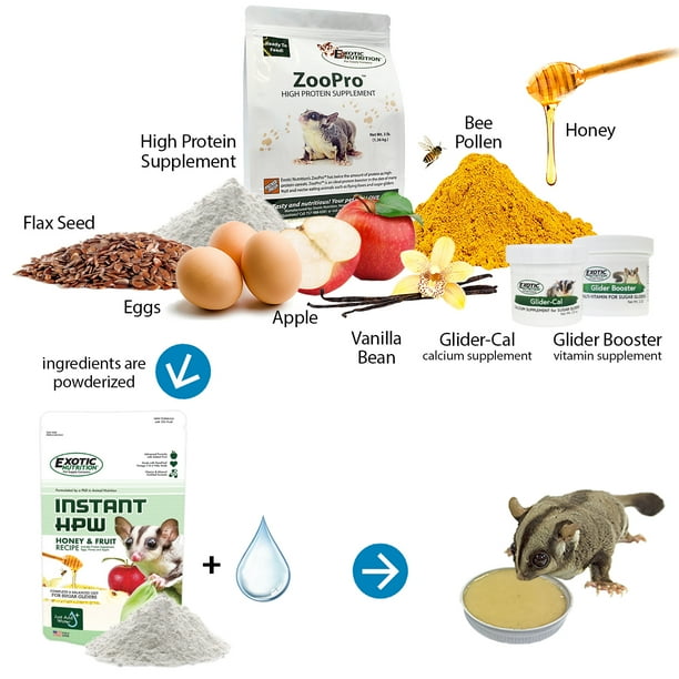 Brisbane Cage & Starter Package for Sugar Gliders - Includes