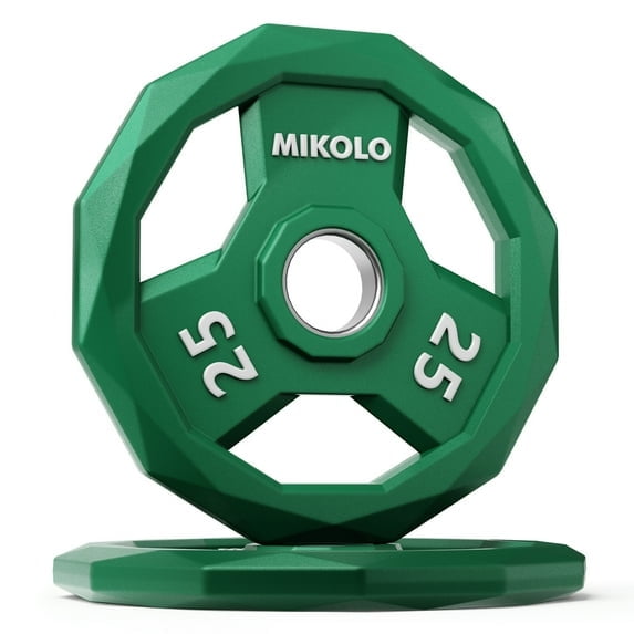 WEIGHT PLATES- 25LB X 2