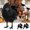 Black, variant on Desktop Ornament 2 Realistic Black Feathered Halloween Birds Set for Desktop and Seasonal Display 6PCS