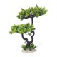 thumbnail image 1 of Plantas de acuario, plantas artificiales, utilizadas para la decoración de acuarios y peceras., 1 of 5