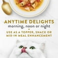 thumbnail image 6 of Purina Fancy Feast Broths, Wet Cat Food, Tuna & Vegetables, 1.4 oz Pouch, 16 Pack, 6 of 10