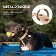 thumbnail image 6 of Wolfone Waterproof Dog Collar with Quick Release Buckle， Cute Adjustable Collar for Dogs Comfort Sturdy Durable Odor Proof Easy Care（Cookie Chocolate 37.5-55cm）, 6 of 7