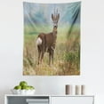 thumbnail image 1 of Hunting Tapestry, Roe Deer Male Capreolus Western European Wildlife Fauna Flora Meadow Field Grass, Fabric Wall Hanging Decor for Bedroom Living Room Dorm, 5 Sizes, Multicolor, by Ambesonne, 1 of 1