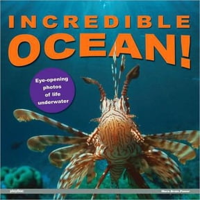 Pre-Owned Incredible Ocean!: Eye-Opening Photos of Life Underwater (Hardcover) 1602140847 9781602140844
