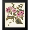 thumbnail image 2 of Unknown 12x14 Black Modern Framed Museum Art Print Titled - Botanical I, 2 of 5