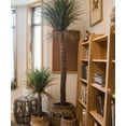 thumbnail image 5 of Moroccan Artificial Palm Tree, 5 of 11