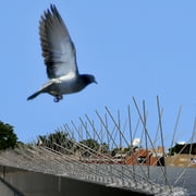 BIRD-X INC Stainless Steel Bird and Pest Repellent Spikes, 10 ft