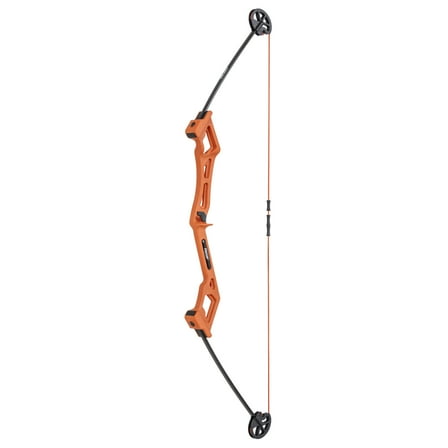 Bear Archery Valiant Bow Set