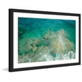 thumbnail image 2 of Marmont Hill "Clear Water" by Karolis Janulis Framed Painting Print, 2 of 5