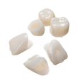 thumbnail image 1 of 115pcs Resin Anterior Front Back Tooth Molar Teeth Kit, 1 of 5
