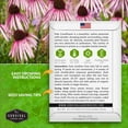 thumbnail image 2 of 3 Packs Pale Coneflower Seeds - Pink Echinacea Pallida - Non-GMO Heirloom Perennial Full Sun Flower, 2 of 6