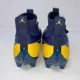 thumbnail image 3 of A i r-Jor-dan Vapor Edge Pro 2 Michigan Wolverines Cleats PE, Size 12 FJ5709-407, 3 of 6