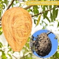thumbnail image 5 of Spencer 2PCS Wasp Nest Decoy Hanging Hornet Deterrents Waterproof Cloth Wasp Nest Stay Away from Wasps Yellow Jackets for Home and Garden Outdoors, Green, 5 of 10