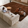 thumbnail image 3 of Ameha Shaggy Rug 5x7 Ultra Soft Comfy Large Fluffy Rugs Non-Slip For Teen Adults Apartment Bedroom Home Decor Brown, 3 of 10