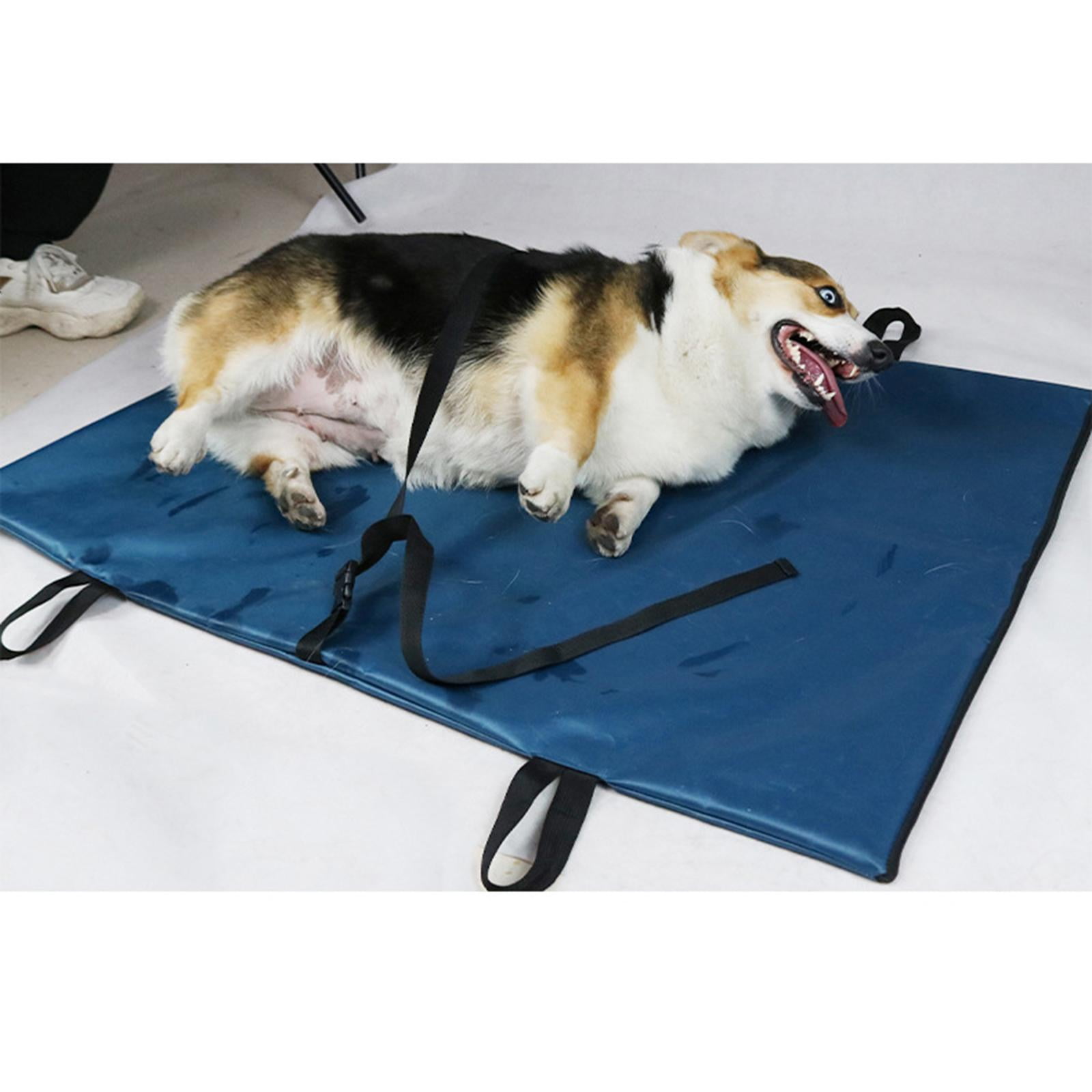Pet Transport Stretcher First Aid Stretcher Portable Dog Stretcher Walmart