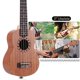 thumbnail image 2 of 21 Inch Wooden Acoustic Ukulele Ukelele Uke Sapele Wood, 2 of 5
