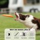 thumbnail image 4 of Platillo para perros, platillo neumático de alto vuelo para cachorros: platillo flotante liviano para buscar pelotas, 4 of 5