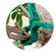 thumbnail image 4 of Secured Plastic Plant Clips, Plant Support Clips Plant Clips for Climbing Plants, Plant Fixing Clips Tomato Clips A, 4 of 5