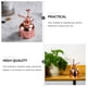 thumbnail image 2 of EeaseMX regadera vintage para plantas suculentas con bomba, 2 of 7
