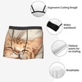 thumbnail image 3 of Pofeuu Sleeping Cat In Blanket Print Men’s Boxer Briefs, Moisture-Wicking Underwear, Regular,Trunk-X-Large, 3 of 5