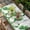 Off-White, variant on St. Patrick's Day Table Cloths for 3 Foot Rectangle Tables, Green Shamrock Gnomes Watering Can Plants Patio Waterproof Elastic Fitted Tablecloths, Washable Rectangular Table Cover for Camping