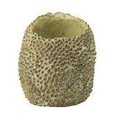 thumbnail image 3 of Jackfruit Planter - Light Green Cement Pot - Spiky Textured Design - Large Outdoor Indoor Plant Container, 3 of 3