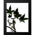 thumbnail image 2 of Burkhart, Monika 15x18 Black Modern Framed Museum Art Print Titled - Maple Branch III, 2 of 5