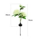 thumbnail image 3 of Lámpara de enchufe de tierra de peonía solar decoración del hogar 600 mAh para camino de patio trasero (1 pieza blanca) Ndcxsfigh Para estrenar, 3 of 7