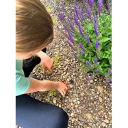 Little Pals 8-Piece Kids Bug Watching & Bug Hunt Activity Kit – Outdoor Explorer Set with Net, Viewer, Binoculars & Tools