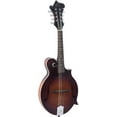 thumbnail image 2 of The Loar LM-310F Hand-Carved F-Style Mandolin Vintage Brown, 2 of 5