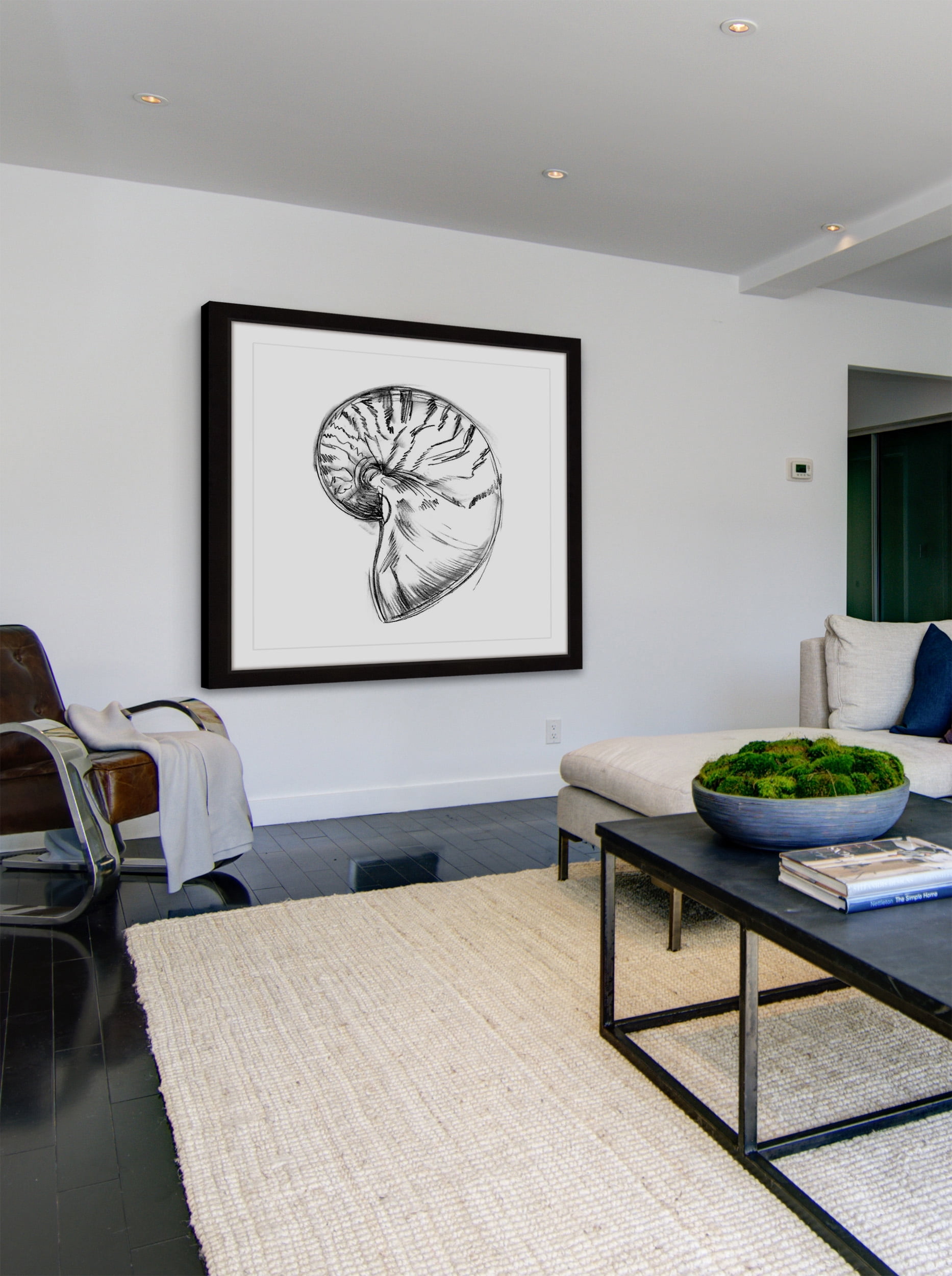 "Shell Sketch IV" Framed Painting Print