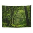 thumbnail image 5 of Shiartex  Virgin Forest Tapestry Green Tree in Misty Forest Tapestry Wall Hanging Nature Scenery Wall Tapestry Decor for Living Room Bedroom 40x30inch, 5 of 6