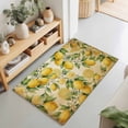thumbnail image 2 of Entryway Rug 2'x3', Lemon Kitchen Runner Rugs Non-Slip Carpet Mats, Farmhouse Vintage Summer Retro Fruits Yellow Brown Bedside Rugs Runners Washable Floor Carpet for Bathroom Laundry Room, 2 of 8