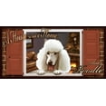 thumbnail image 3 of Poodle "Paws on the Windowsill" A House is Not a Home Dog Sign Plaque featuring the art of Scott Rogers, 3 of 3
