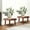 E, variant on NWOKYZGH 1Pc Wood Plant Stands Indoor, Single Plant Stand for Pots, Modern Plant Stool, Tall Plant Stand for Large Plants for Living Room, Balcony, office
