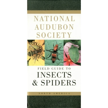 National Audubon Society Field Guide to Insects and Spiders : North