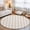 Beige, variant on Pink Roses Washable Small Entryway Area Rugs 2'x3', Classic Floral Eucalyptus Leaves Pink Plaid Washable Throw Rug Non-Slip Sturdy Edge Binding Carpet for Front Door Floor Room Entry