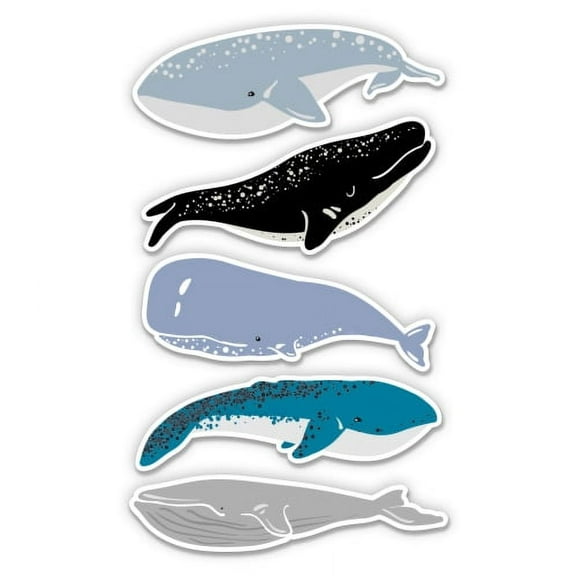 Whale Species - 3" each Vinyl Stickers - For Car Laptop I-Pad Phone Helmet Hard Hat - Waterproof Decals