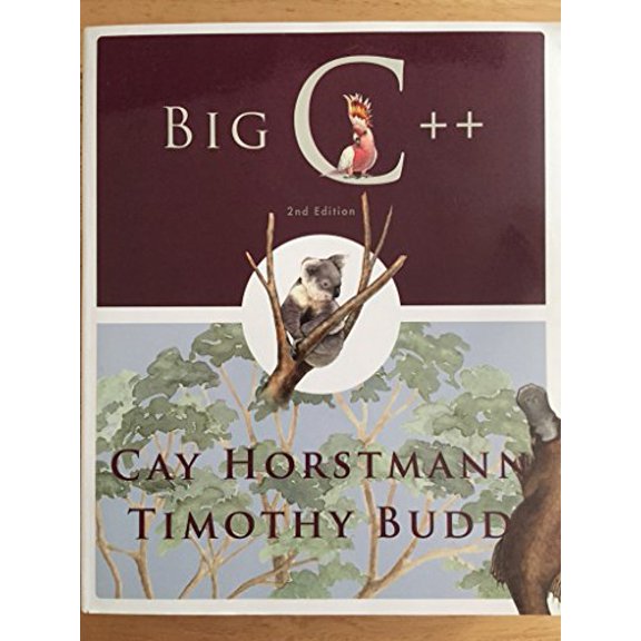 Pre-Owned Big C++ Paperback