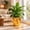 Yellow-7inch, variant on Pot Cover for Decorative Reusable Golden Cloth Planter Sleeve, Floral Wrap for Potted for Home Decor Indoor Outdoor Garden Balcony Weddings Parties Holidays