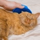 thumbnail image 5 of Cepillo de baño para perros y gatos, cepillo de limpieza con cepillo de masaje para cachorros, 2 piezas de goma de silicona, 5 of 5