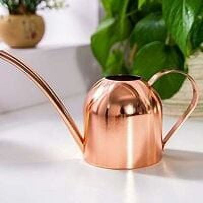 Mini regadera de 500 ml, pequeña regadera de acero inoxidable para jardín, regadera de pico largo, regadera, aspersor de flores, para interior y exterior, hogar, riego, plantas (500 ml,