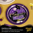 Purple Graduation Plates 9in Purple Graduation Party Supplies
