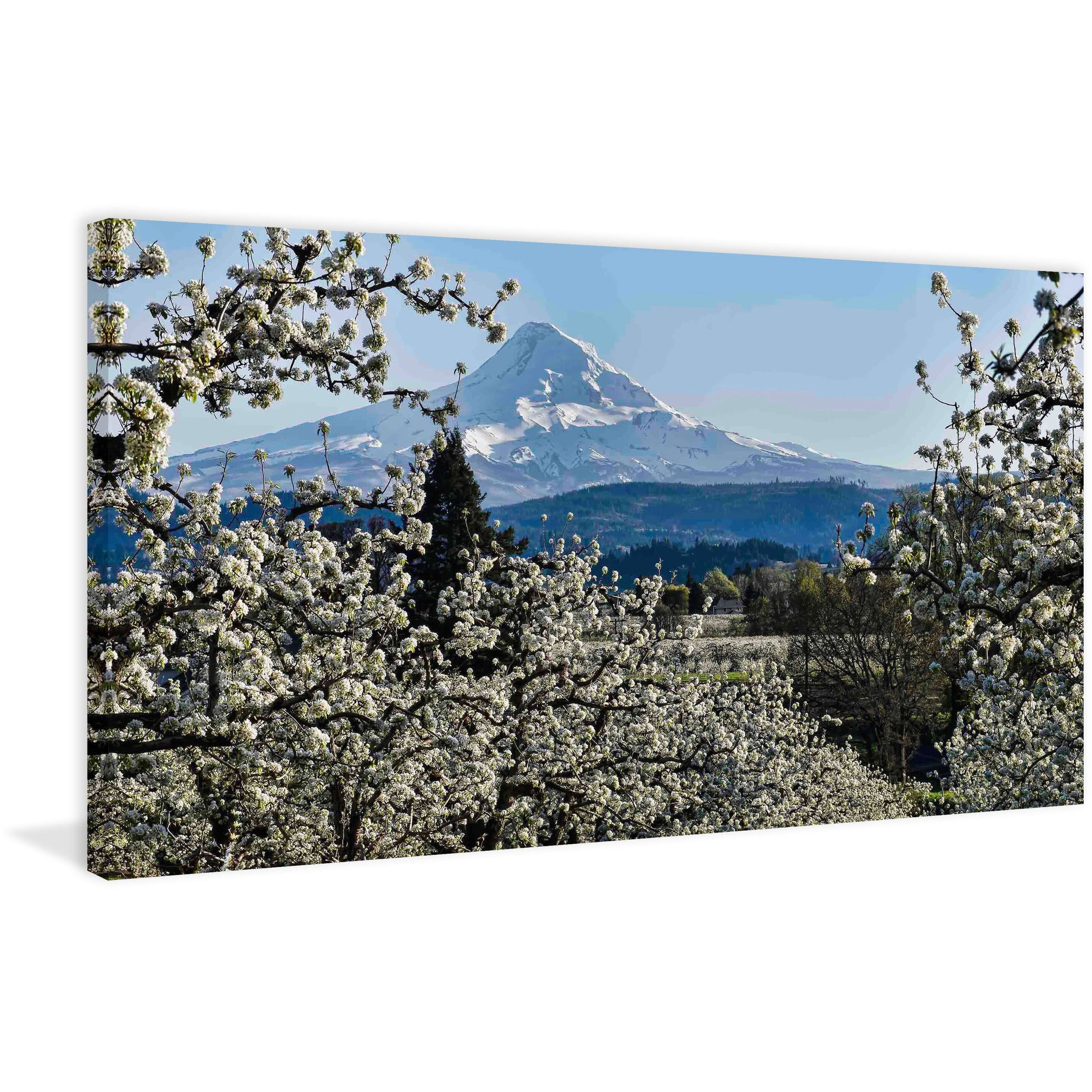 "Pear Blossom Majesty" Painting Print on Canvas