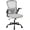 Gray, variant on Office Desk Chair with High Back Mesh - Ergonomic Computer Chair for Home, Gaming & Work, Adjustable Height, Flip-Up Armrests & Lumbar Support, Comfy Swivel Seat(Black Net)