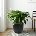 thumbnail image 6 of Black MgO Round 12.2in. H Outdoor Planter, 6 of 8