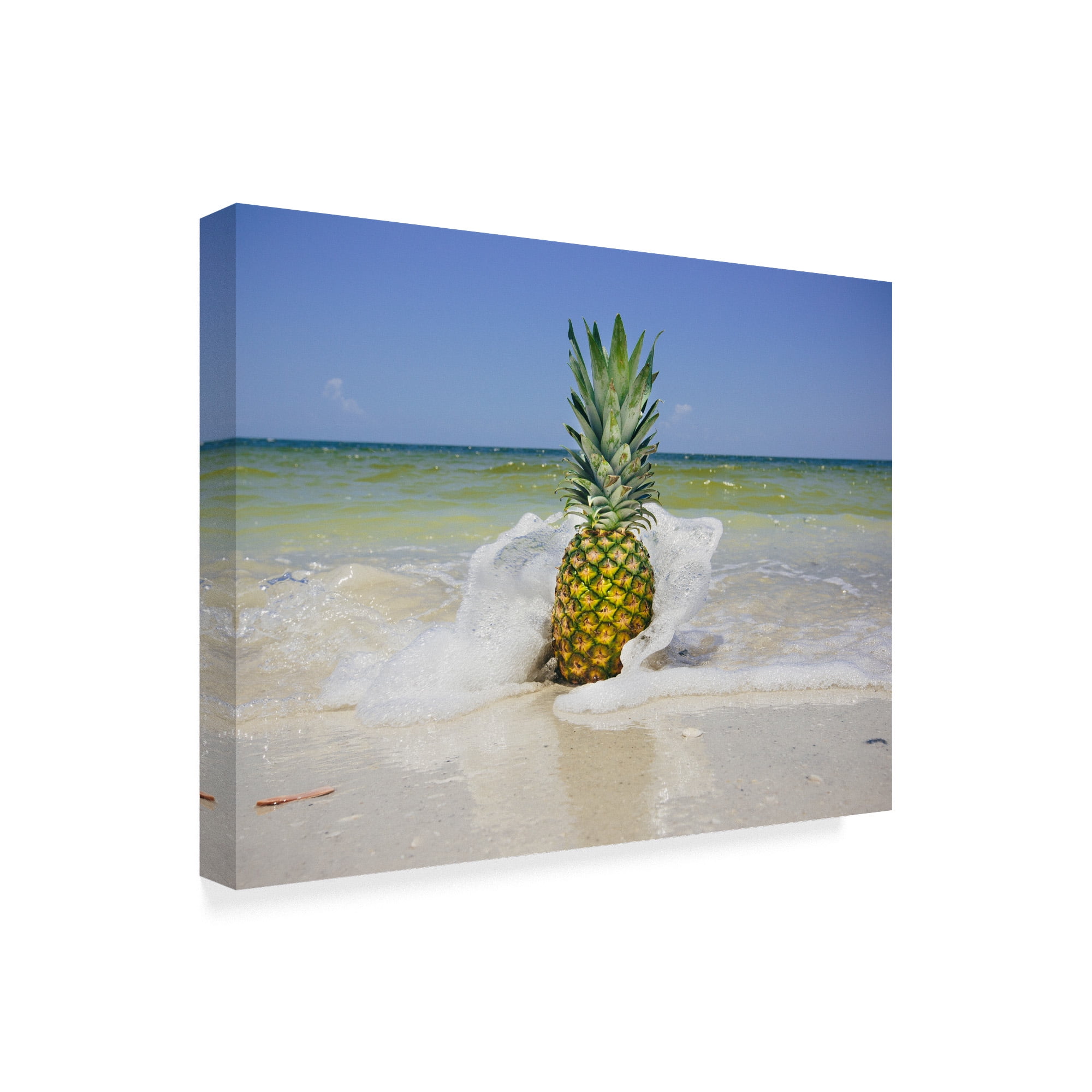 Trademark Fine Art 'South Florida Pineapple IV' Canvas Art by Adam Mead